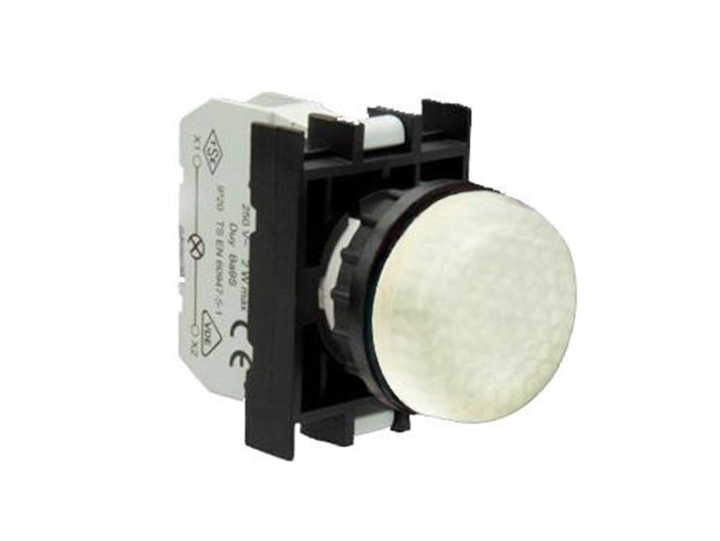 EMAS PILOTO LED BLANCO 12-30VAC/DC